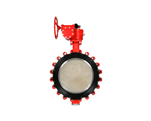 Válvulas Bi-Excêntricas